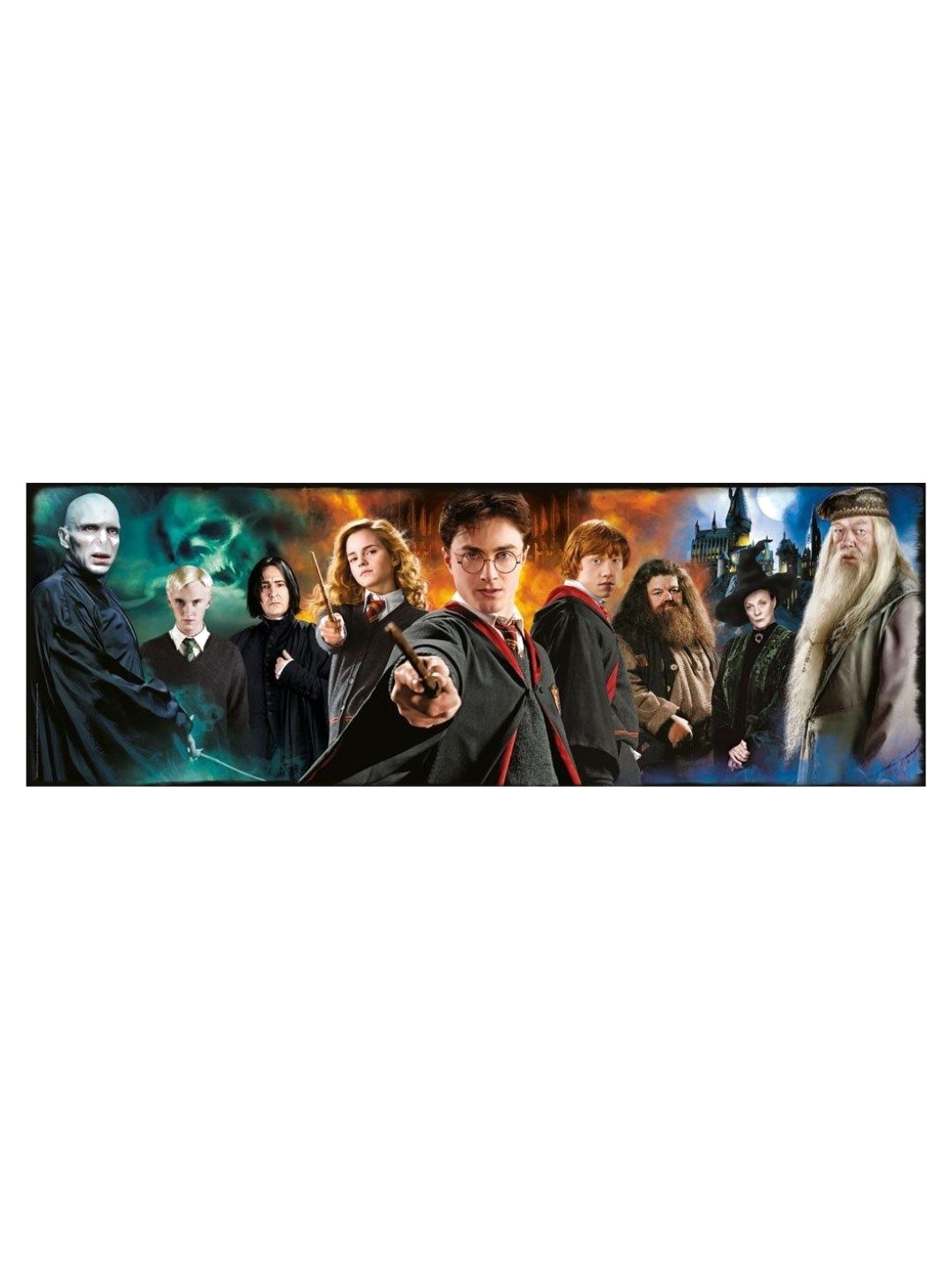 Harry Potter Panorama Puzzle Characters Nerdom