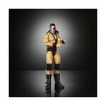 Product Φιγούρα Δράσης Mattel WWE Elite Collection: Demolition Crush - Action Figure (JHT82) thumbnail image