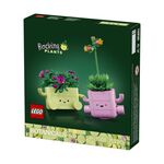 Product LEGO® Botanicals: Rocking Plants (11506) thumbnail image