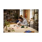 Product LEGO® Botanicals: Woodland Mushrooms (11505) thumbnail image