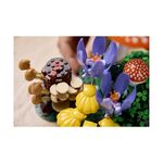Product LEGO® Botanicals: Woodland Mushrooms (11505) thumbnail image