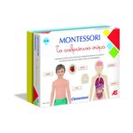 Product AS Clementoni Montessori - Τo Ανθρώπινο Σώμα (1024-63225) thumbnail image
