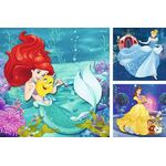 Product Παζλ Ravensburger Puzzle: Disney Princess - Princesses Adventure 3X49 Κομμάτια.) (09350) thumbnail image