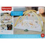 Product Fisher-Price® Simply Senses Newborn Gym (HRB15) thumbnail image