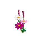 Product LEGO® Botanicals: Cosmos Flowers (11514) thumbnail image
