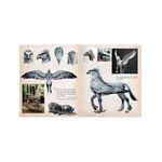 Product Harry Potter: The Creature Vault : The Creatures and Plants of the Harry Potter Films thumbnail image