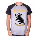Product Harry Potter Hufflepuff Raglan T-shirt thumbnail image
