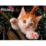 Product Παζλ 3D 10173 Jennifer 500 Κομμάτια thumbnail image