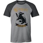 Product Harry Potter Hufflepuff Raglan T-shirt thumbnail image