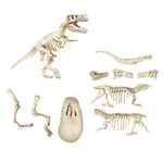 Product Εκπαιδευτικό Παιχνίδι AS Clementoni Μαθαίνω & Δημιουργώ Lab: Δεινόσαυροι - Τυραννόσαυρος (1026-63413) thumbnail image