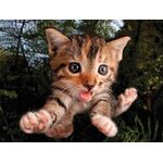 Product Παζλ 3D 10404 Fuzzbucket 500 Κομμάτια thumbnail image