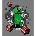Product Minecraft Blanket Creeper thumbnail image