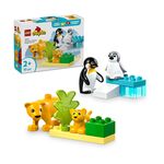 Product LEGO® DUPLO®: Οικογένειες Άγριων Ζώων: Πιγκουίνοι & Λιοντάρια (10442) thumbnail image