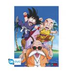 Product Abysse: Dragon Ball - Db/ Kame Team Chibi Poster (52X38) (ABYDCO392) thumbnail image