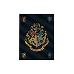Product Harry Potter Fleece Blanket Hogwarts thumbnail image