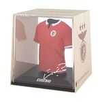 Product FanCollex: MyJersey - Benfica Home 1961/62 Legends Eusébio (01MY00012) thumbnail image