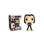 Product Funko Pop! Buffy the Vampire Slayer Dark Willow thumbnail image