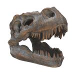 Product Nemesis Now: Tyrannosaurus - Rex Skull Freestanding (16cm) (D1245D5) thumbnail image