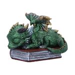 Product Nemesis Now: Where Dragons Dream (U7220C25) thumbnail image