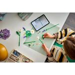 Product LEGO® Botanicals: Daisies (11508) thumbnail image