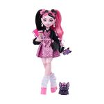 Product Mattel Monster High: Basic Series - Draculaura Doll (New Design) (JHK29) thumbnail image