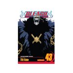 Product Bleach Vol.43 thumbnail image
