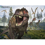 Product Παζλ 3D 13574 Discovery - Tyrannosaurus Rex 100 Κομμάτια thumbnail image