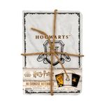 Product Harry Potter A6 Notebooks 3pk Hogwarts Shield thumbnail image