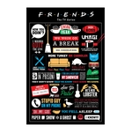 Product Friends Infographic Maxi Poster thumbnail image
