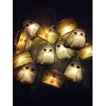 Product Harry Potter 2D String Lights Letter of Acceptance & Hedwig thumbnail image