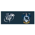 Product Harry Potter Boxed Ravenclaw Mug thumbnail image