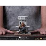 Product Αγαλματίδιο Iron Studios Deluxe: Harry Potter - Hermione Granger Polyjuice Art Scale Statue (1/10) (WBHPM65622-10) thumbnail image