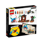 Product LEGO® NINJAGO®: Ninja Dragon Temple (71759) thumbnail image