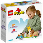 Product LEGO® DUPLO® Town: Wind Turbine and Electric Car (10985) thumbnail image