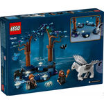 Product LEGO® Harry Potter™: Το Απαγορευμένο Δάσος: Μαγικά Πλάσματα (76432) Μαζί με Πασχαλινή Λαμπάδα thumbnail image