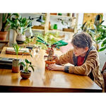 Product LEGO® Harry Potter™: Μανδραγόρας (76433) thumbnail image