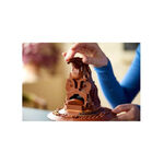 Product LEGO® Harry Potter™ : Talking Sorting Hat™ (76429) thumbnail image