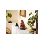 Product LEGO® Harry Potter™ : Talking Sorting Hat™ (76429) thumbnail image