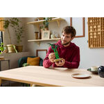 Product LEGO® Botanical Collection: Τυχερό Μπαμπού (10344) thumbnail image