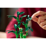 Product LEGO® Botanical Collection: Τυχερό Μπαμπού (10344) thumbnail image