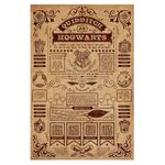 Product Harry Potter Quidditch at Hogwarts Maxi Poster thumbnail image