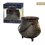 Product Μολυβοθήκη Harry Potter thumbnail image