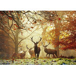 Product Puzzle 29805 St Magic Forests Stags 1000 Pieces thumbnail image