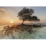 Product Παζλ 29856 St Vh Red Mangrove 1000 Κομμάτια thumbnail image