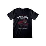 Product Harry Potter All Aboard Black T-shirt thumbnail image