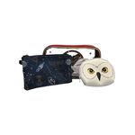 Product Harry Potter Hogwarts Travel Set thumbnail image
