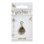 Product Harry Potter Hogwarts Charm thumbnail image