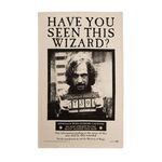 Product Harry Potter Have You Seen This Wizard? Poster Tea Towel thumbnail image