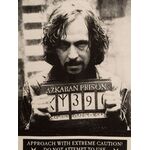 Product Harry Potter Have You Seen This Wizard? Poster Tea Towel thumbnail image