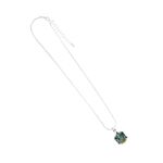 Product Κολιέ Harry Potter Slytherin Necklace thumbnail image